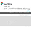 Frontiers In Cell And Developmental Biology