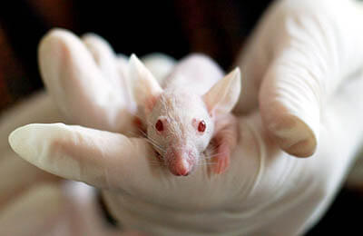 實(shí)驗(yàn)課程設(shè)計(jì)論文