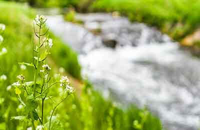 生態(tài)城市論文