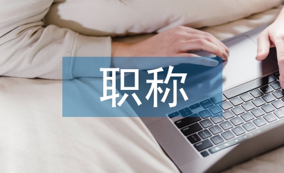 招標職稱專業(yè)技術工作