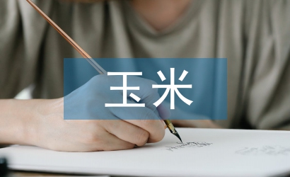 論玉米規(guī)?；N植與機械技術融合