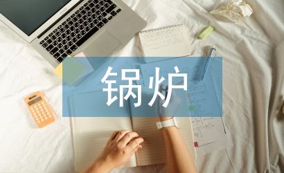 鍋爐調(diào)查報告