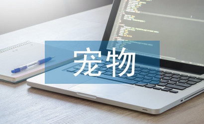 寵物前臺工作計劃