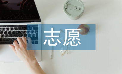 志愿活動總結(jié)