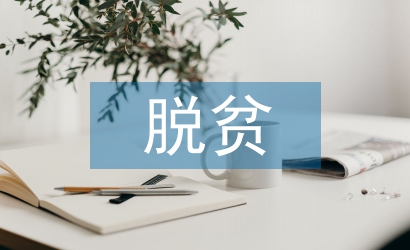 脫貧攻堅工作匯報