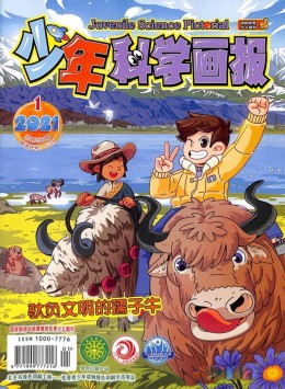 少年科學(xué)畫報(bào)雜志
