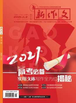 新作文·高中版